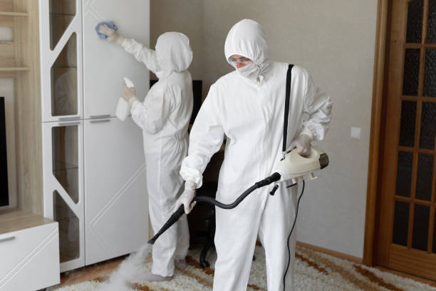 Best Office Mold Removal Services  in Pittsfield, IL